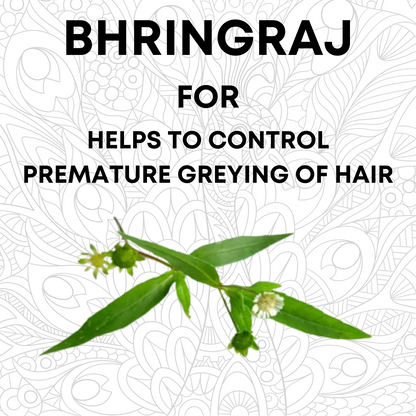 Bio Mystery Bhringraj Powder | 100% Pure & Natural Eclipta Prostrata for Hair Growth & Scalp Health | Ayurvedic Herbal Hair Care – 100g